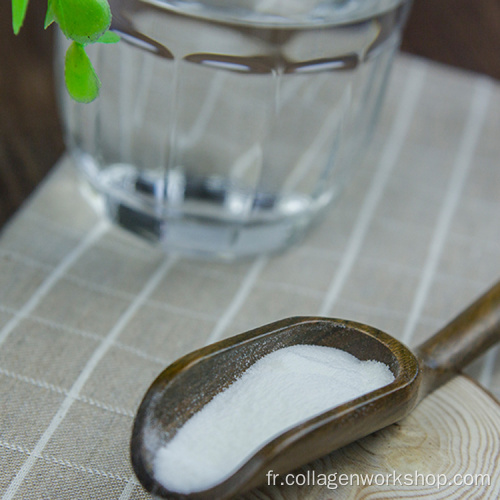 poudre de peptide de collagène de poisson saumon en vrac